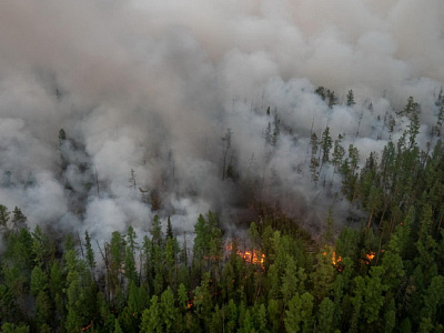 Запахло дымом - горят леса Якутии